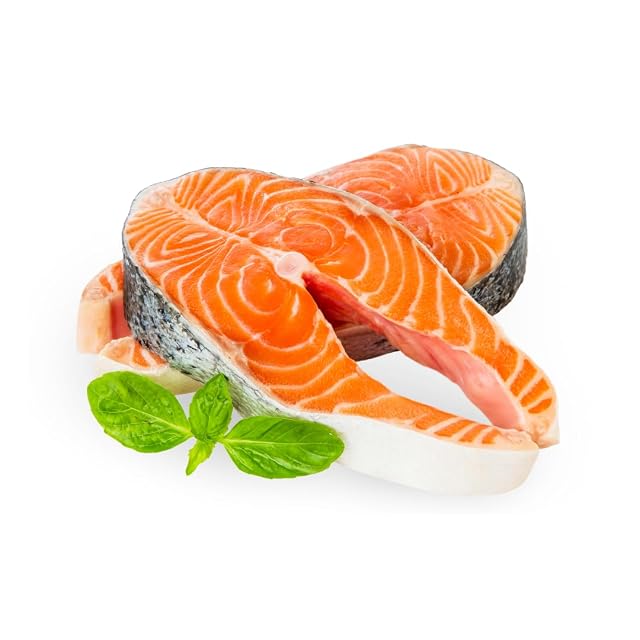 Foto 4 de 5 de ERA Pienso para Perros Grain Free Adultos Rz. M/L, Salmón y Venado 2 kg