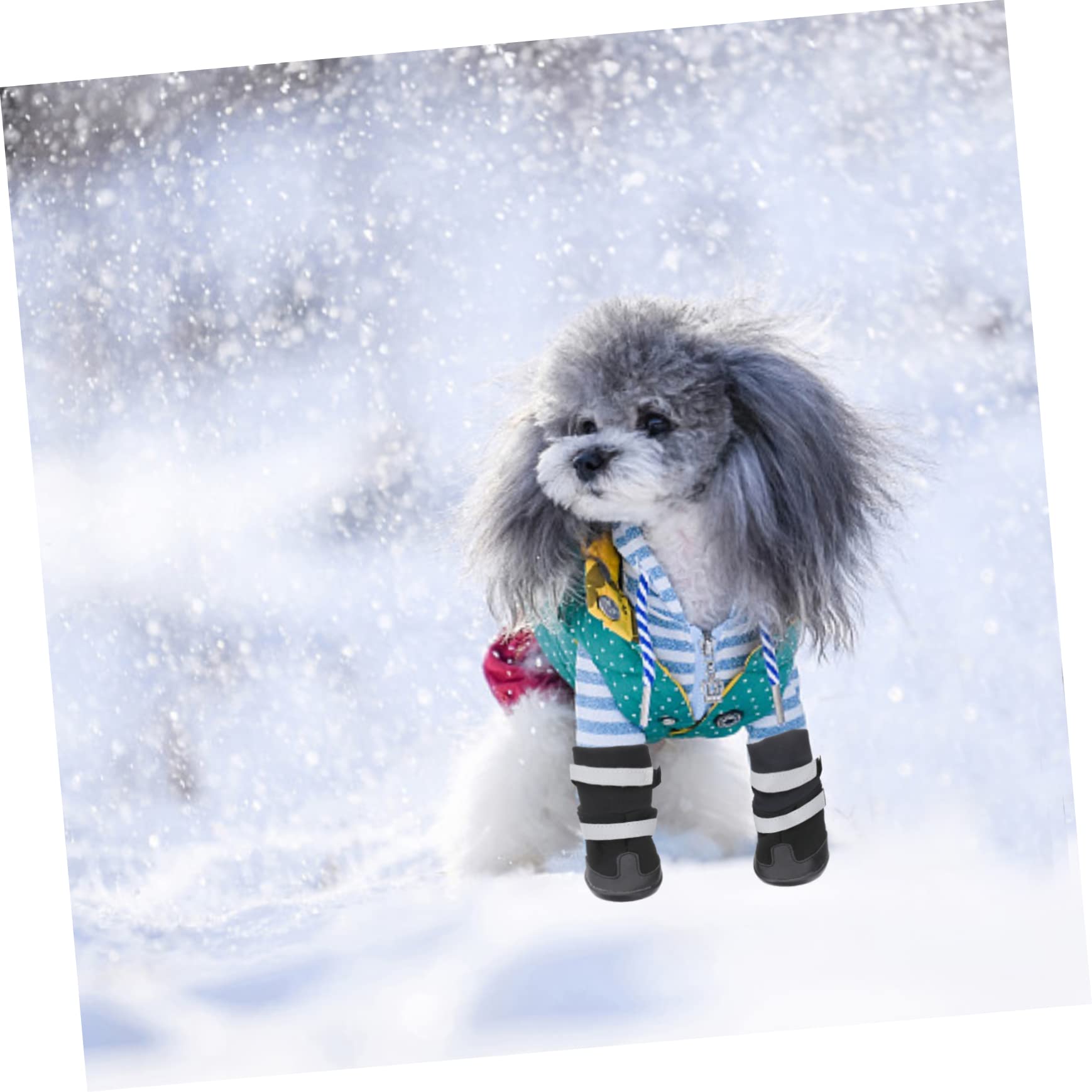 BESPORTBLE 12 Pièces Chaussures d'hiver pour Chaussures Chihuahua pour Chiens Bottes Petit Bottes d'hiver pour Bottes Chaudes pour Chaussures pour Chiens de Compagnie