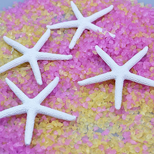 LJY 25 Pcs Artificial Resin Starfish, Mini Sea Stars for Crafts Aquarium Decoration, Vase Fillers - Image 4