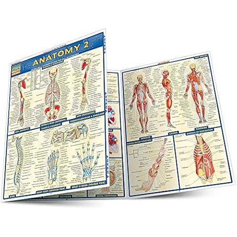 Anatomy 2 (Quick Study Academic) Cover