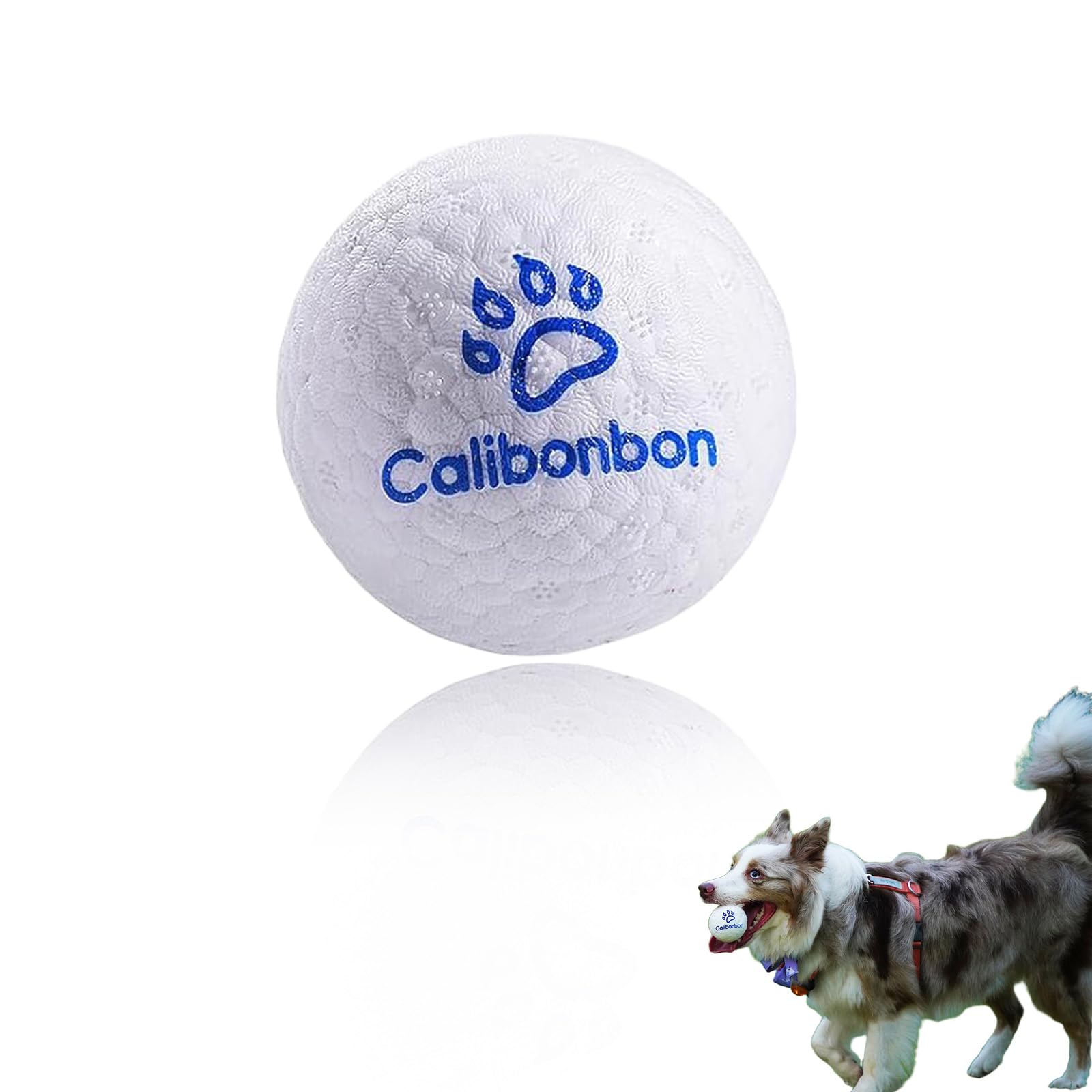 Calibonbon Durable Dog Herding Ball – ETPU Interactive Bouncy Fetch Toy for Small & Medium Dogs – Lightweight Floating Water Ball