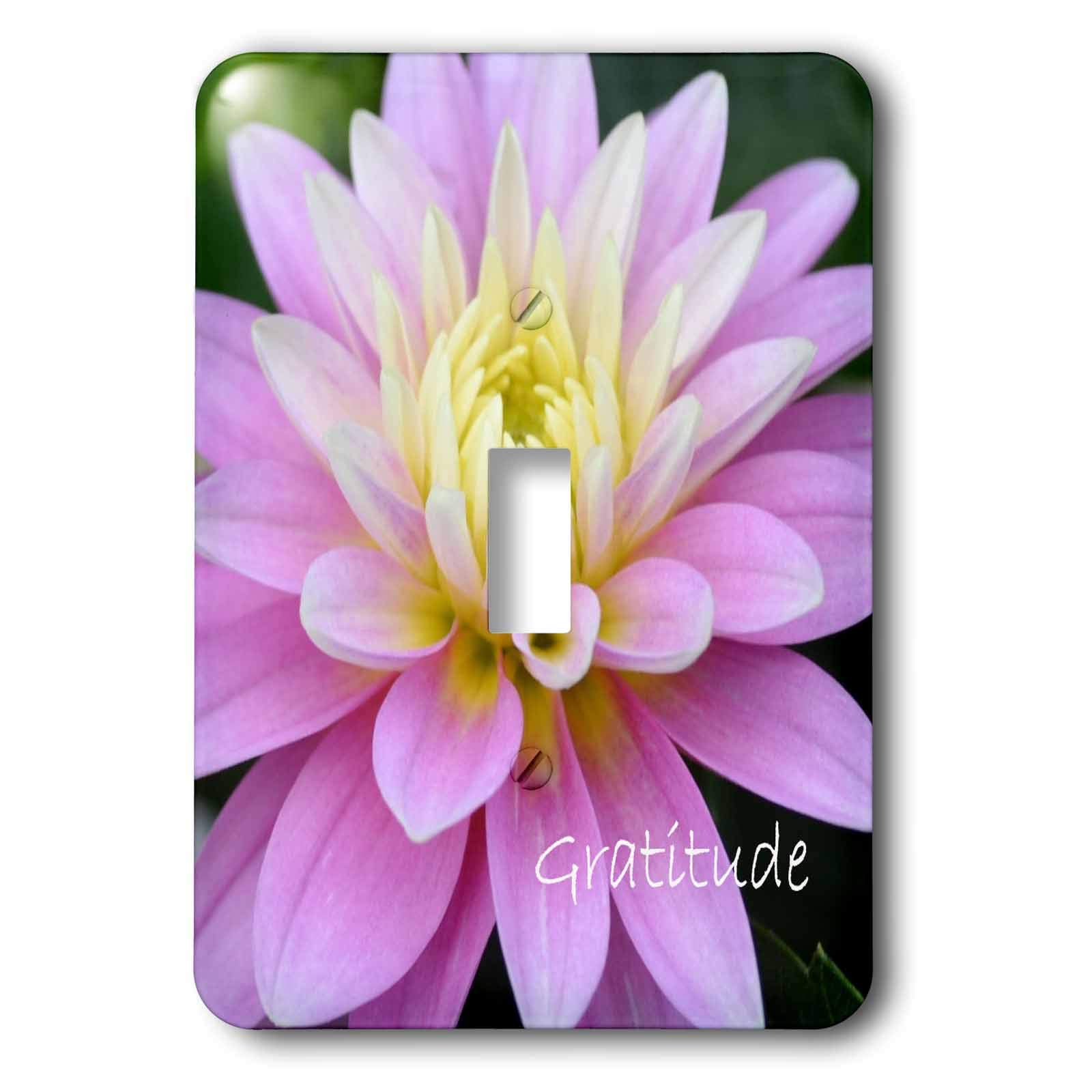 Interrupteur à baïonnette design multicolore 3dRose LSP_25674_1 haut de gamme