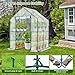 Ohuhu Plastic Greenhouse for Outdoors: Portable Walk in Plant Green House with Improved Transparent PVC Cover, 3 Tiers 12 Shelves Stands Small Greenhouses Backyard Green Houses for Outside Heavy Duty