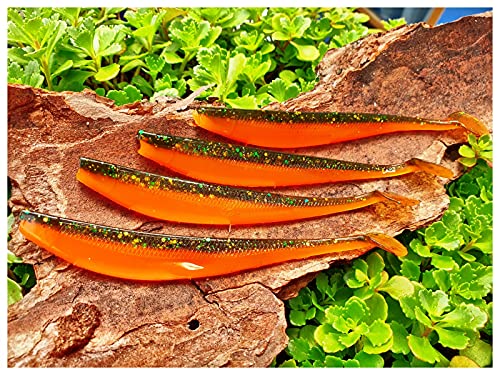 Gummifisch Möhrchen – Die 16 besten Produkte im Vergleich - Die besten ...