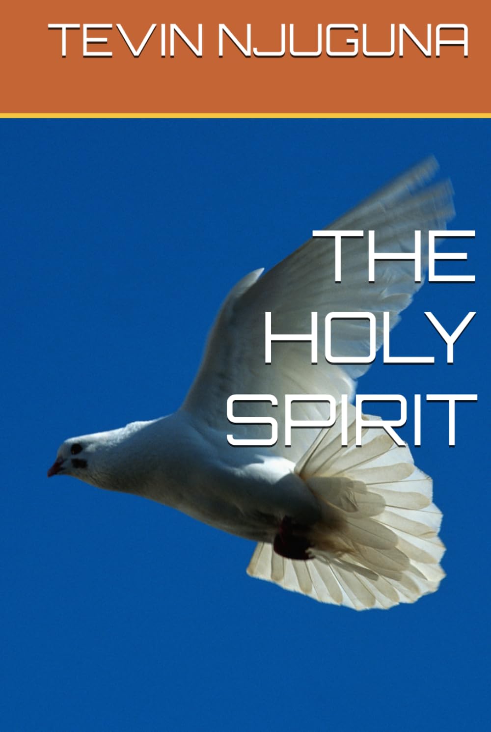 THE HOLY SPIRIT