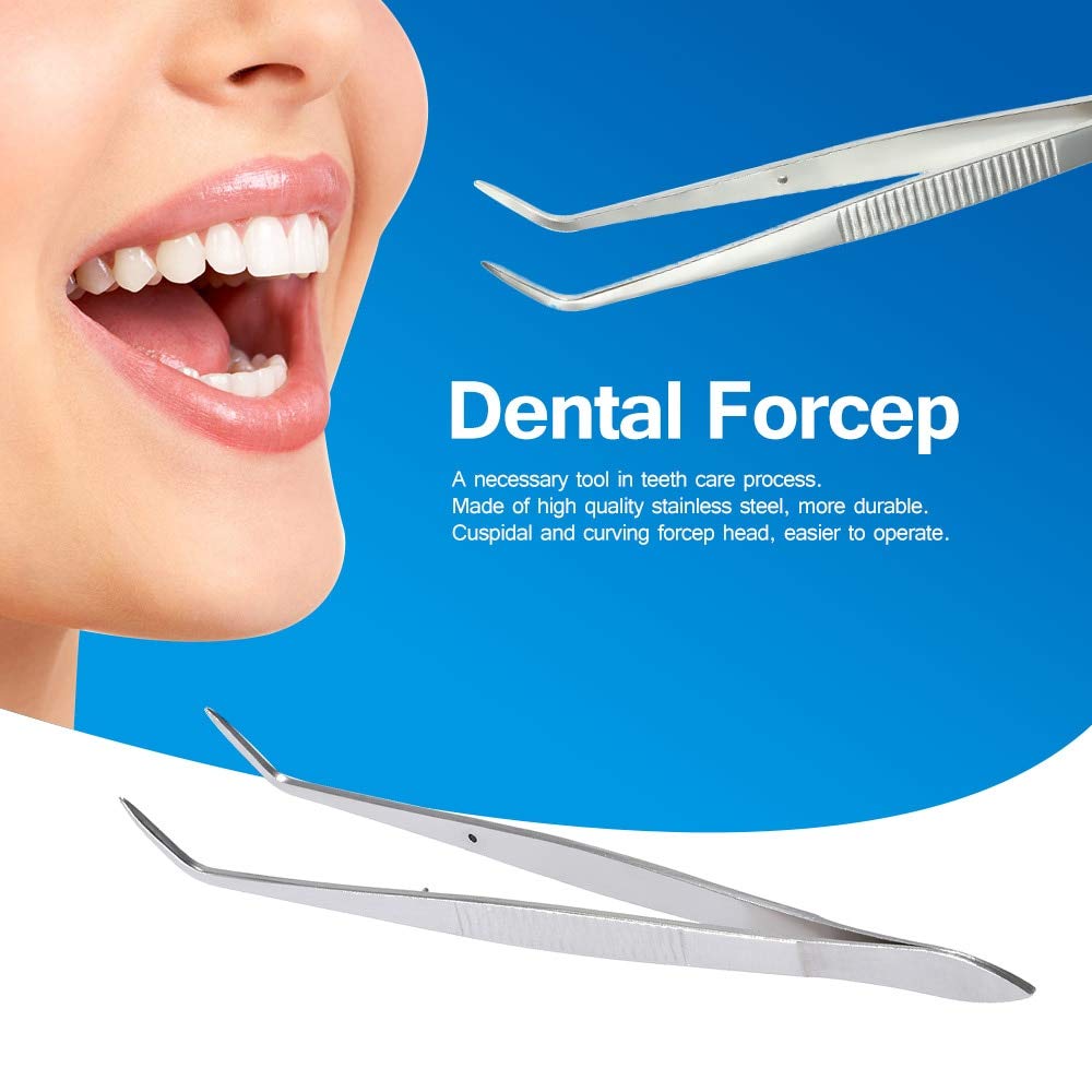 Buy Generic Silver Cuspidal Dental Plier Professional Teeth Clean Tools