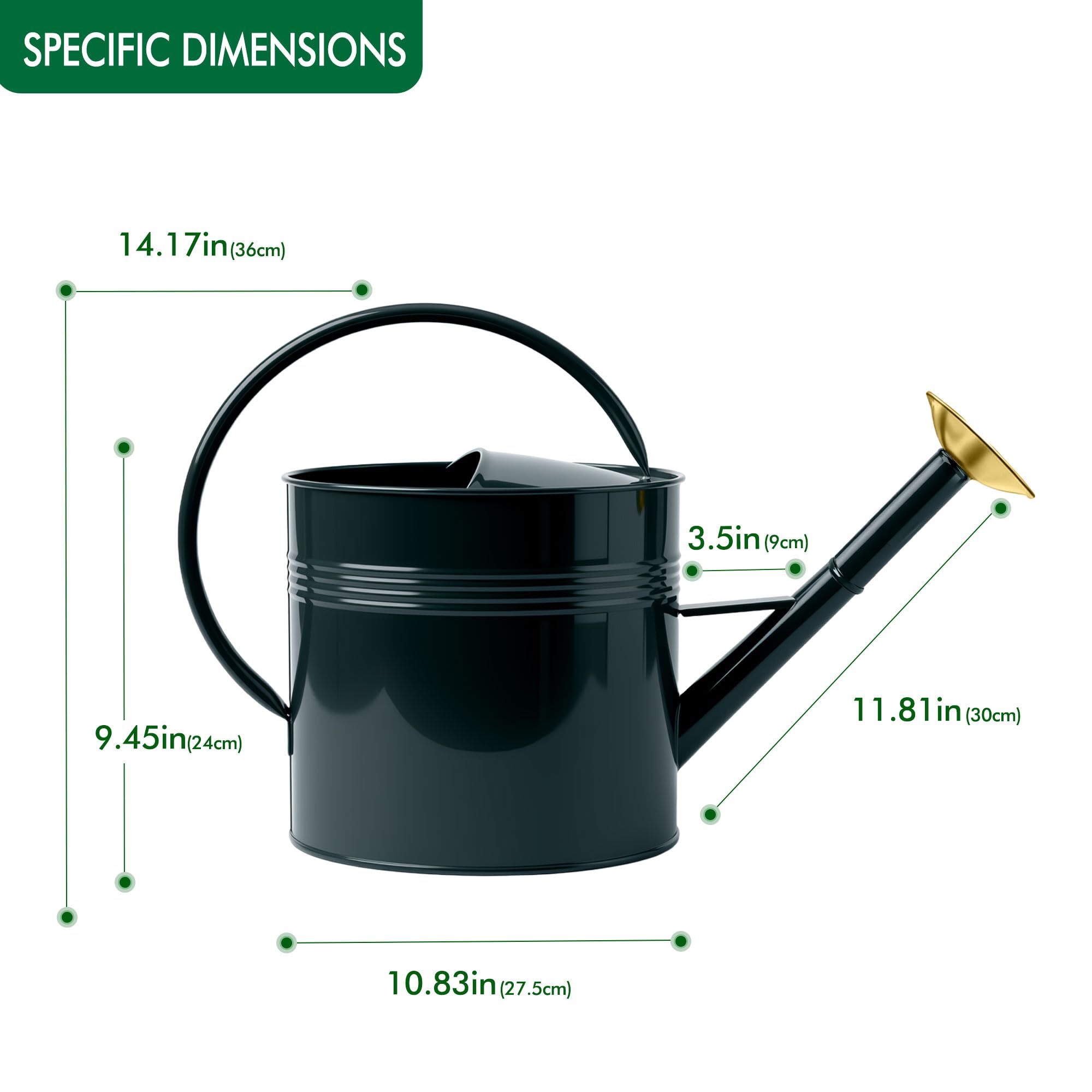 Arrosoir en métal galvanisé de 9,5 l pour plantes d'extérieur avec long bec amovible et poignée argentée