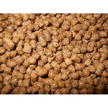 tractor supply floating fish food