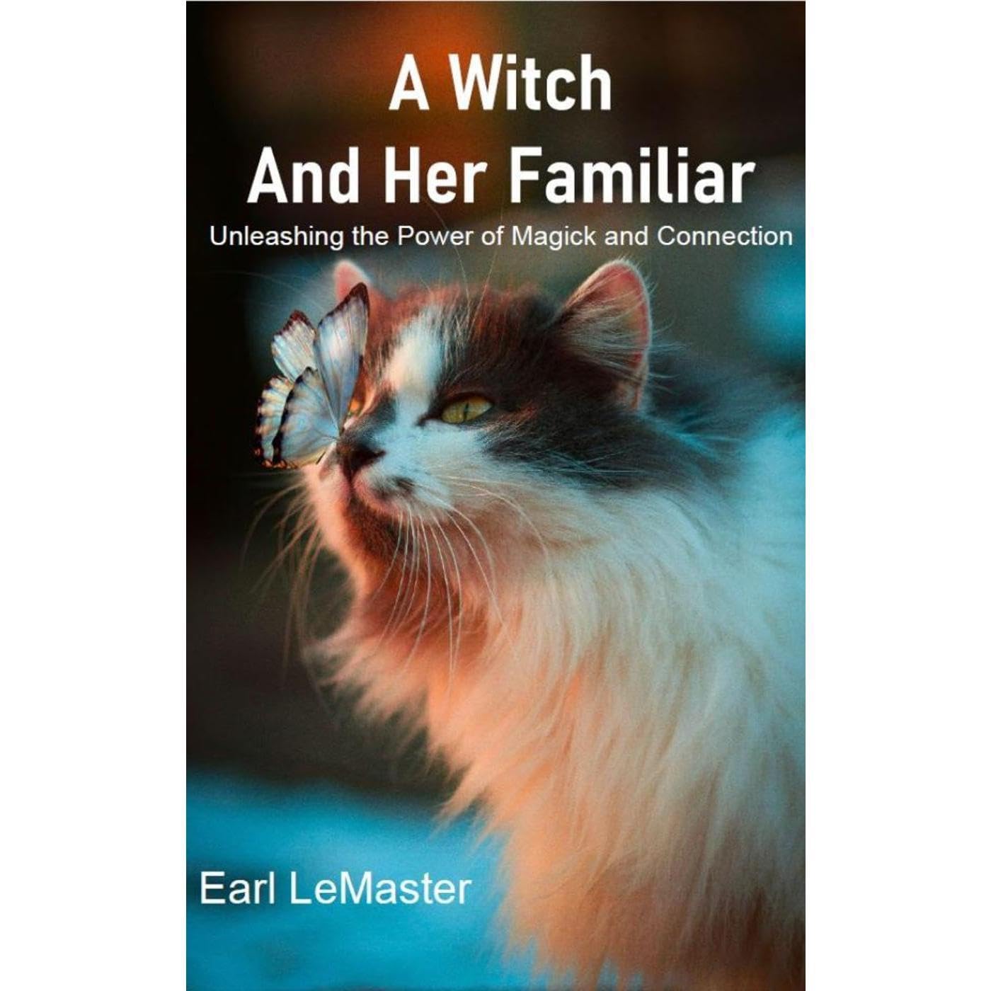 A Witch and Her Familiar