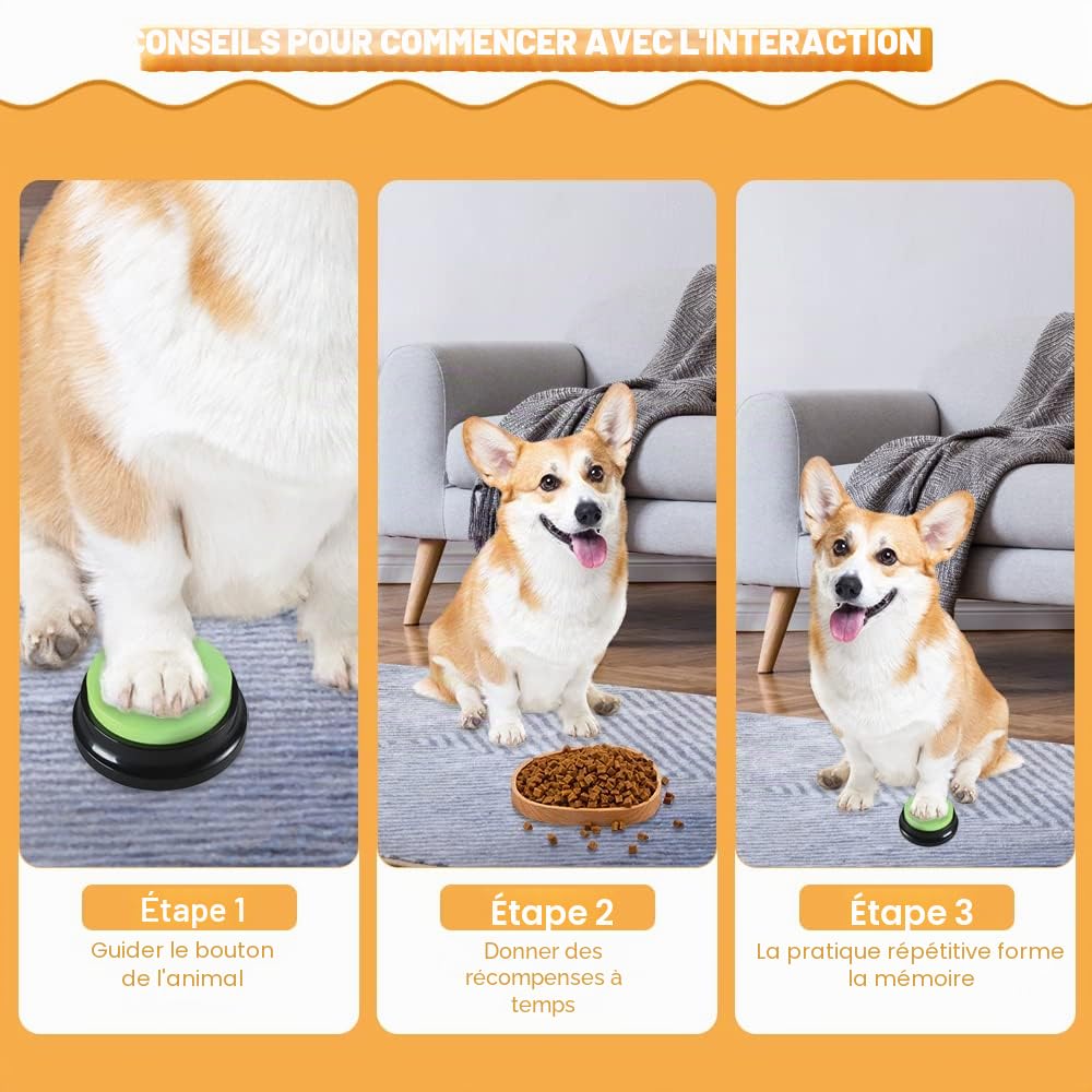 Buzzer Enregistrable Voix, Lot de 4 Buzzer Enregistrable, Bouton Parlant Enregistrable, Bouton Chien Communication, pour lEntraînement au Animaux Communication Enregistrée