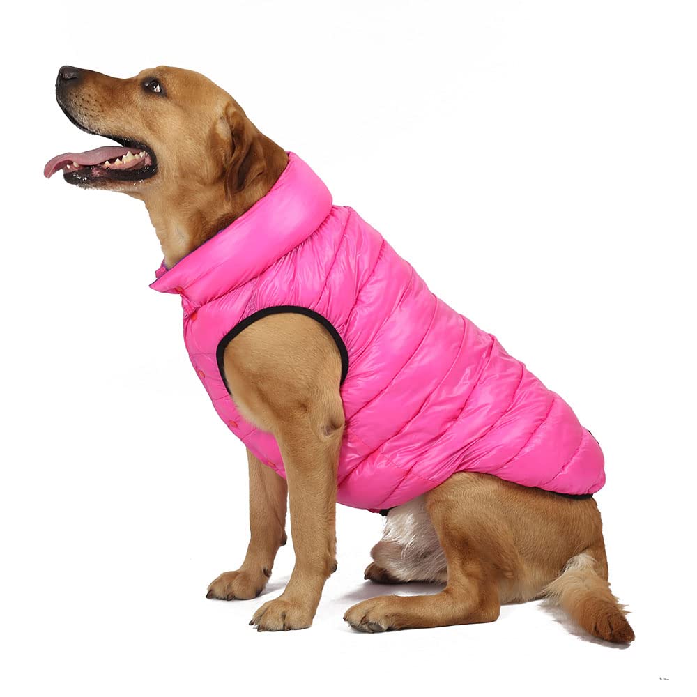 Amazon | 防水犬のベスト ジャケット冬暖かい大型犬の上着服ブルドッグ ゴールデン レトリバー ラブラドール服大型犬服,C,7XL | PJTJ  | コート・ジャケット 通販 冬暖かいペットコート柔らかく快適な大型犬ジャケットベスト防寒ペット服ジッパー付き防水防風ブルドッグラブラドールジャケット,青,7XL