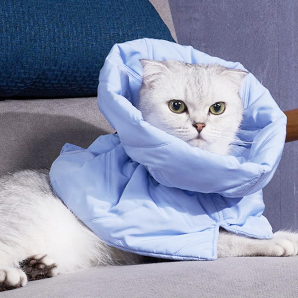MiOYOOW Collare di protezione per gatto, morbido e regolabile, per gatti, anti-morso, collare per gatti, anti-graffio, comodo per media/grande gatto e cuccioli, blu