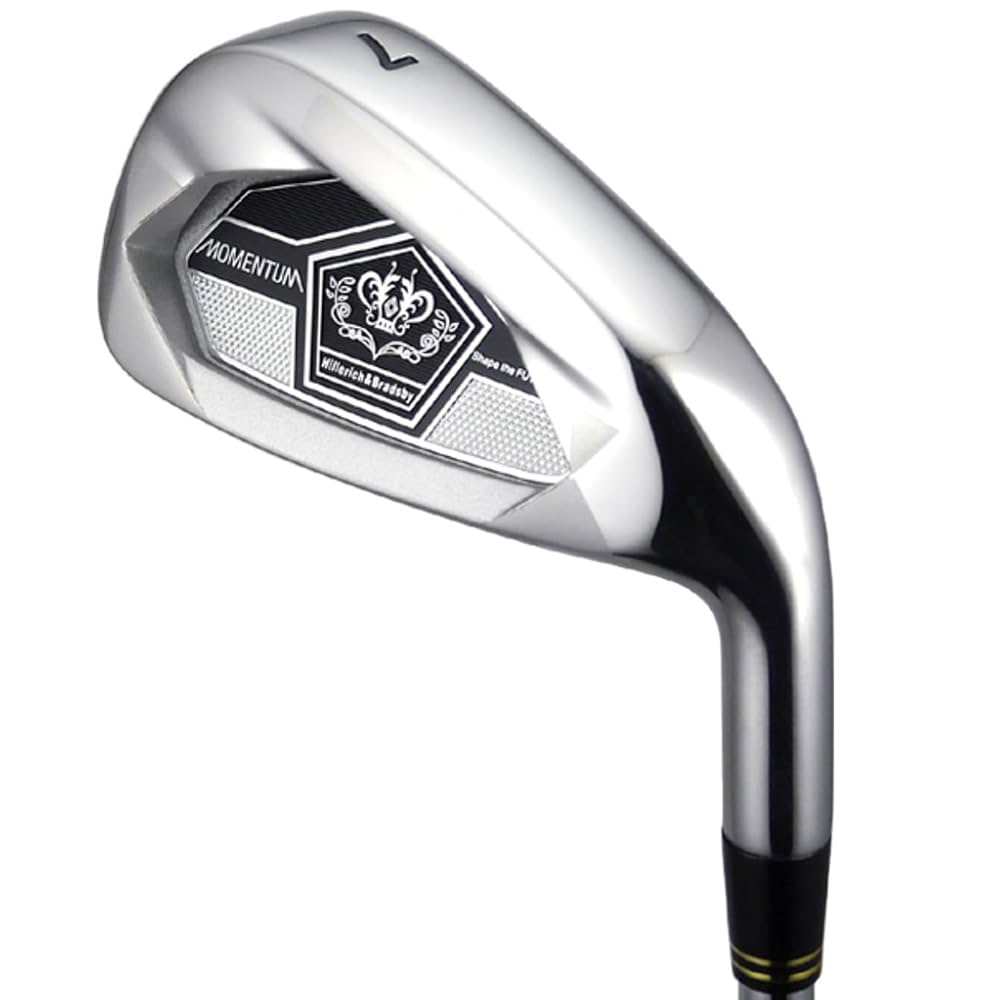 パワービルト MOMENTUM LX アイアン 6I~PW 5本セット パワービルト MOMENTUM LX アイアン 6I~PW 5本セット - メルカリ