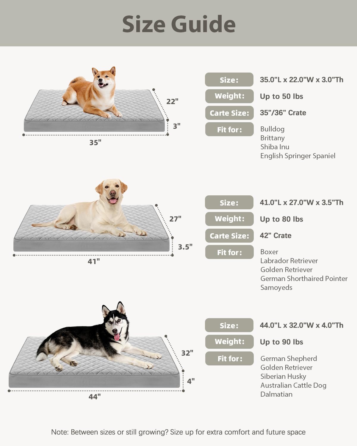 NUPIDA - Cama ortopédica para Perros Grandes, colchón Impermeable con Funda extraíble Lavable y Base Antideslizante, colchón Acolchado para Jaula, 88,9 x 55,9 cm, Gris Claro