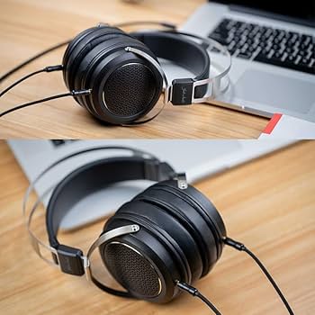 Amazon.co.jp: 《ロゴ入りクロスプレゼント》 FIIO 密閉型