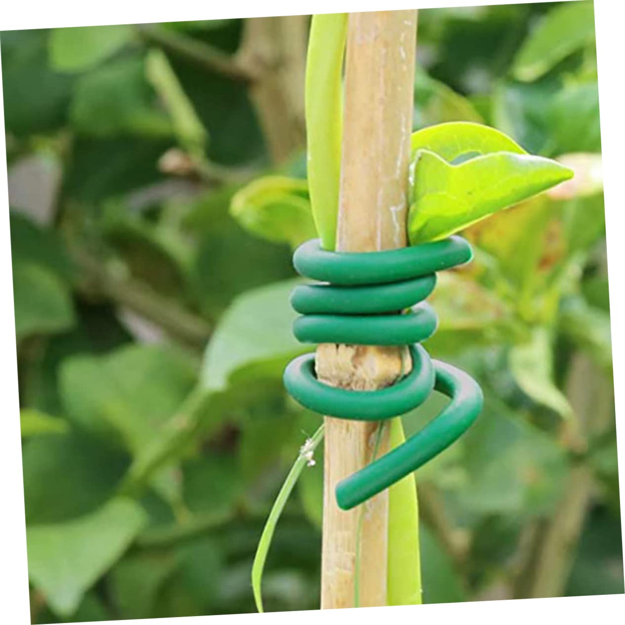 POPETPOP 2 Rotoli Fascette Stringicavo per Fissaggio Piante Fascetta Flessibile per Legatura Giardinaggio Cinghie Piante Rampicanti Fermaglio Snack