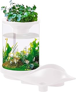 Kleines Betta-Aquarium, kleines Aquaponic-Aquarium, Selbstversorgendes, leises Fischglas mit Filtersystem - Schreibtisch-Hydrokultur-Aquarium-Ökosystem für Wohnung, Fischgeschäft, Heimdekoration