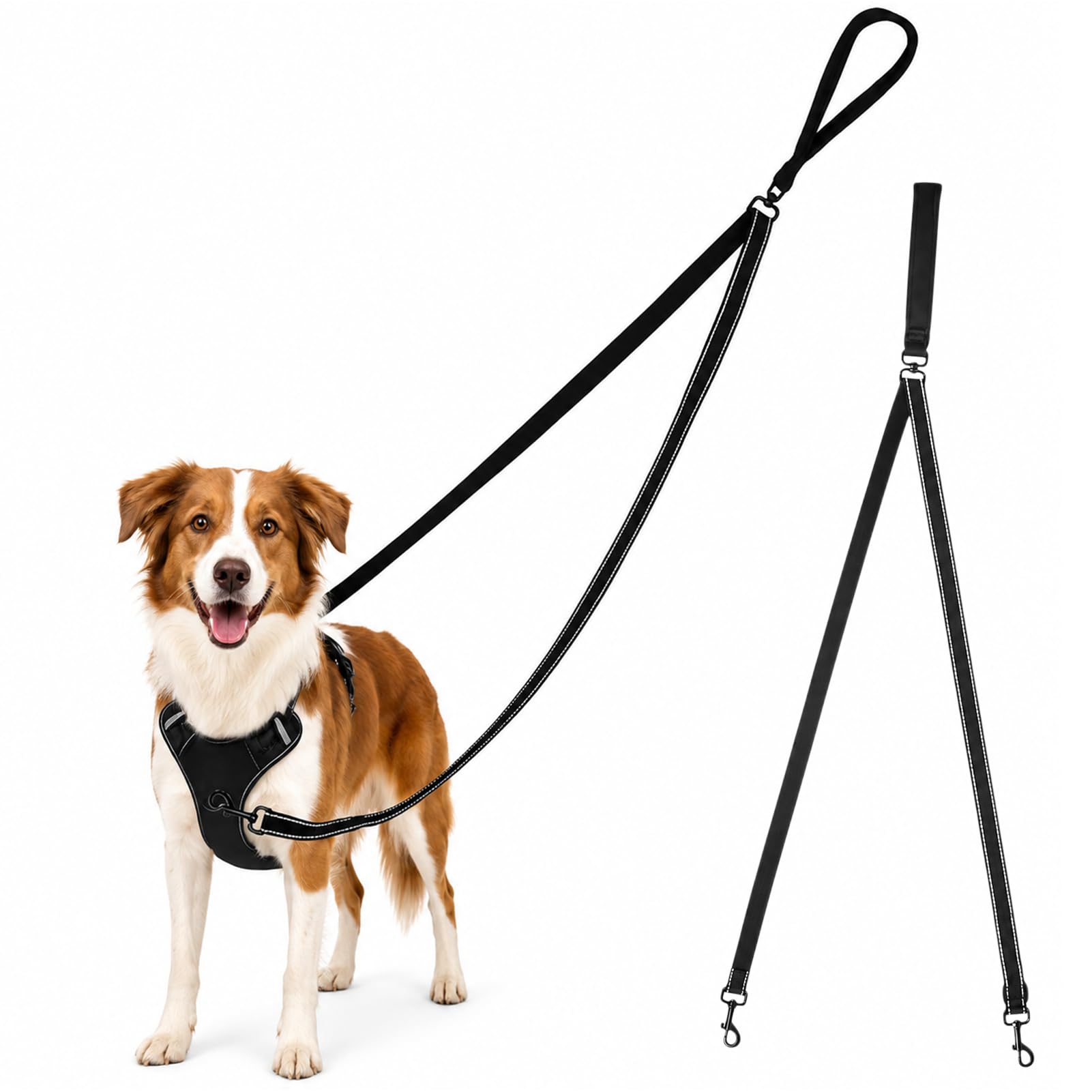 Black Double Ended Lead for Dogs, No Pull Dog Lead with Two Point Control
