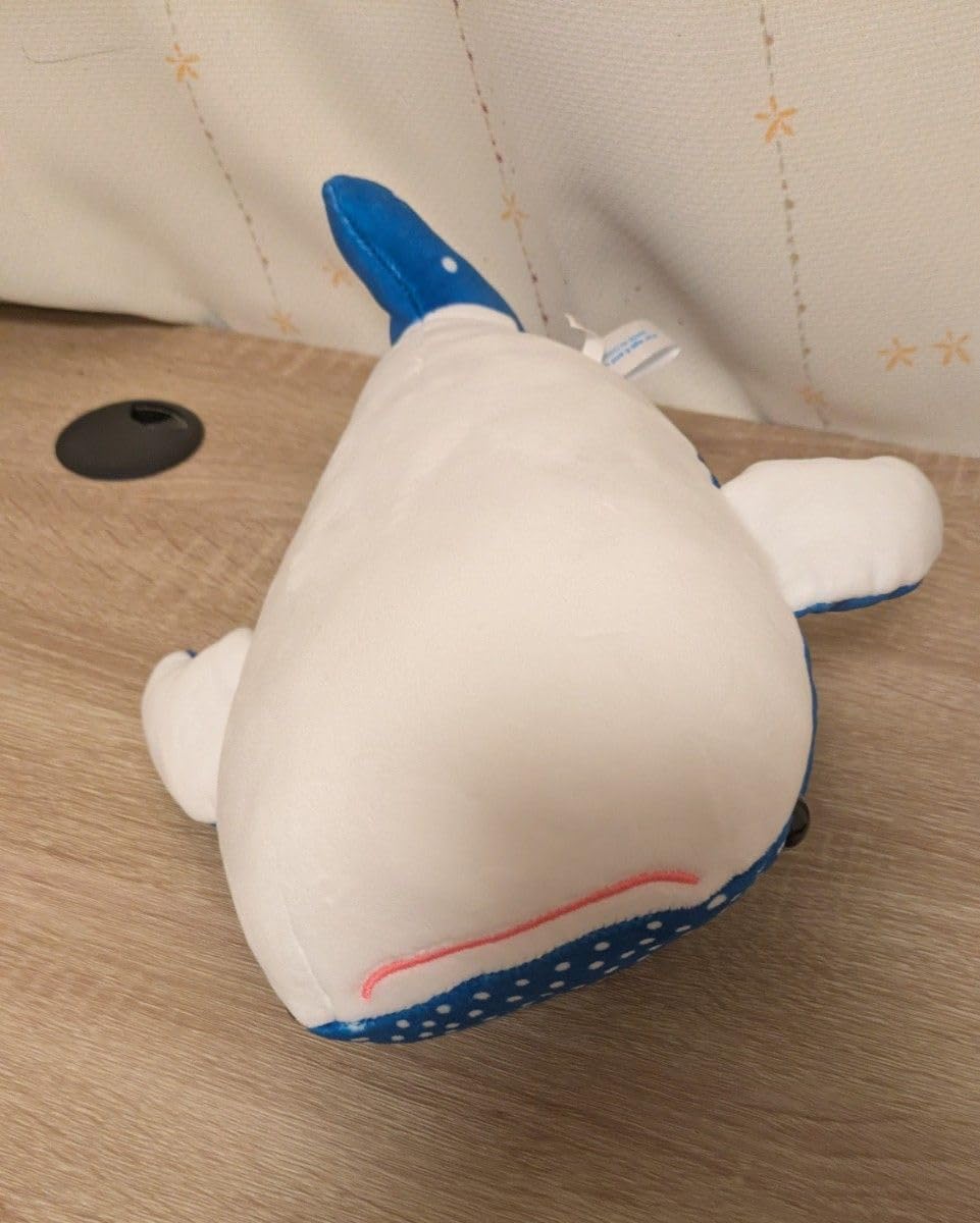Amazon.co.jp: 美ら海水族館 限定 ジンベエザメ ジンベイザメ