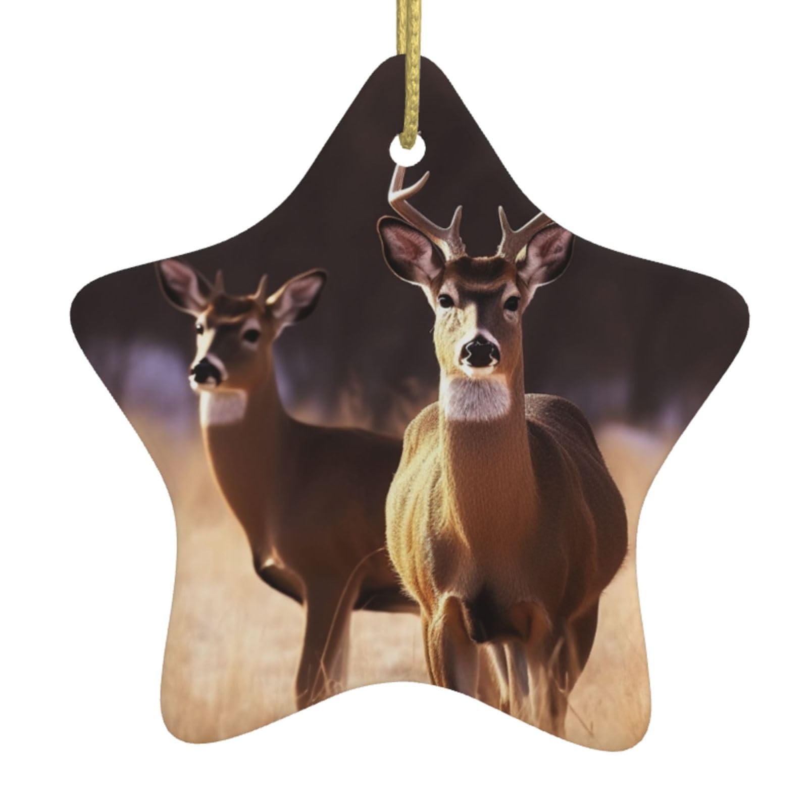 Ceramic Christmas Tree Hanging Ornaments with Gold Ropes Christmas Tree Decorations Star Ceramic Free Deer Pendant Keepsake Decorations for Holiday Xmas Gift Ideas