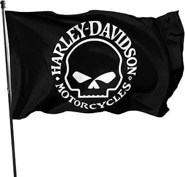 SARAH SCOTT Motorcycle Lovers Gifts Flag 3x5 Feet-Vivid Color and Fade Proof- Home Decoration, Garden Decoration, Outdoor/Indoor Decoration Style-5