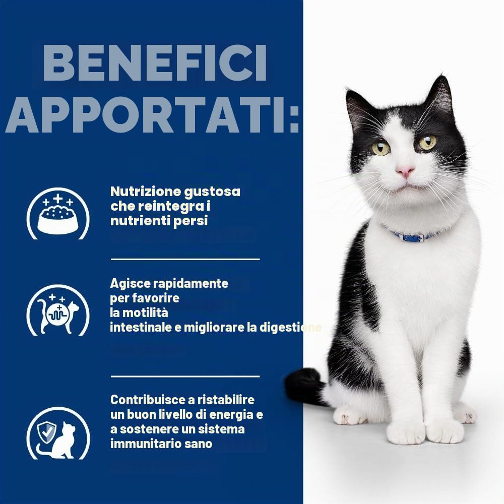 Hill's Gatto Prescription Diet I/D Spezzatino 82 Gr (24x82gr)