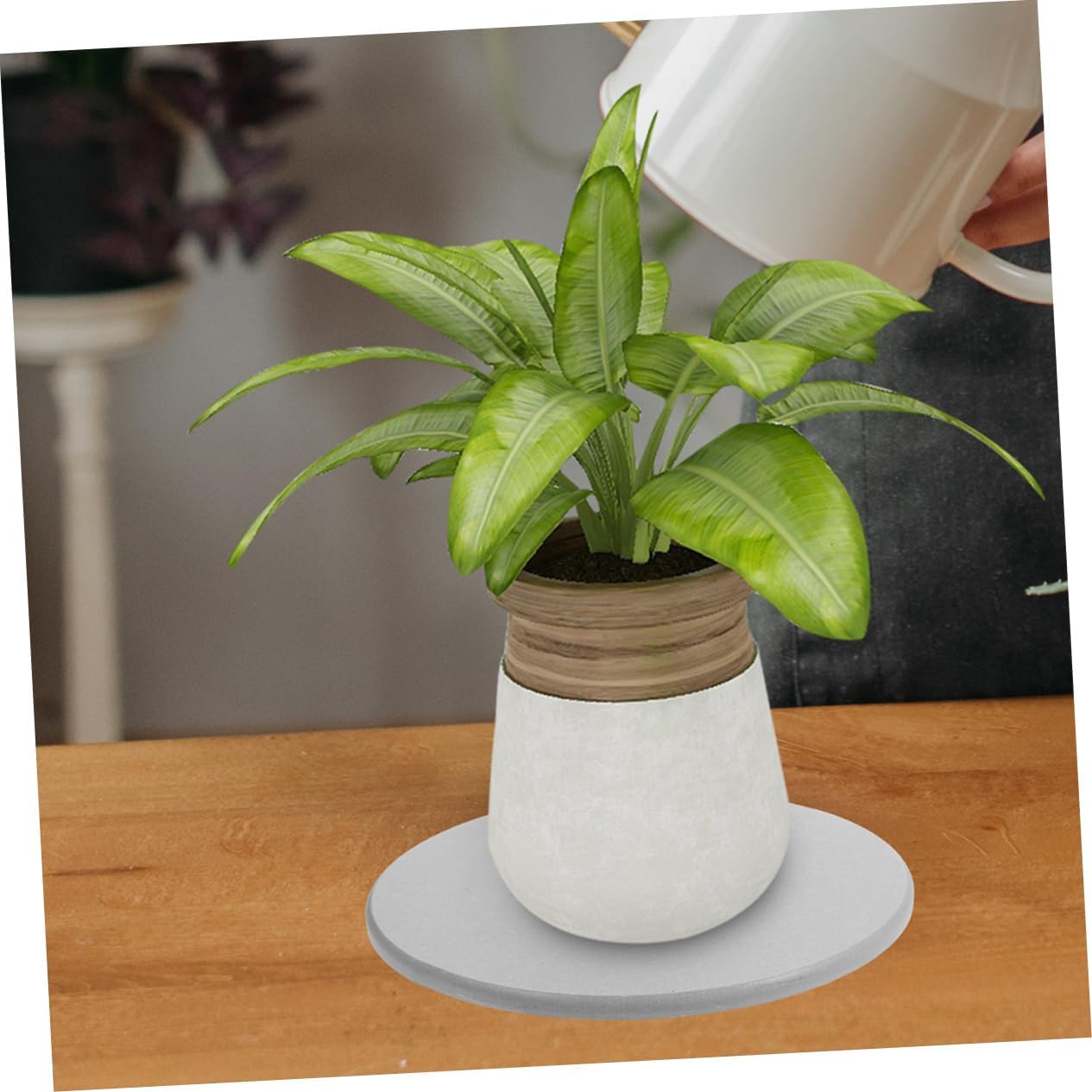 4pcs Plant Trays Plant Pot Saucers Heavy Duty Saucer Trays for Outdoor Indoor