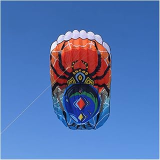 Kites Oft Kite Flying for Adults Inflatable Kites windsocks Kite Parachute Professional Kite Factory Flying Toy (Color : Only The Kite)
