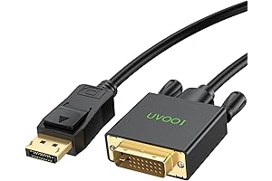 10ft DisplayPort to DVI Cable