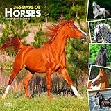 365 Days of Horses | 2025 12 x 24 Inch Monthly Square Wall Calendar | Plastic-Free | BrownTrout | Animals Equestrian