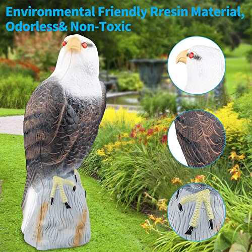 Owl Decoys To Scare Birds Squirrels Away,2023 Upgraded Fake Bald Eagle Decoy,Garden Owl Decoy To Scare Birds Away Deterrent,Eagle Bird Deterrent Devices Outdoor,Moving Owls For Garden Yard Protection #TOP3