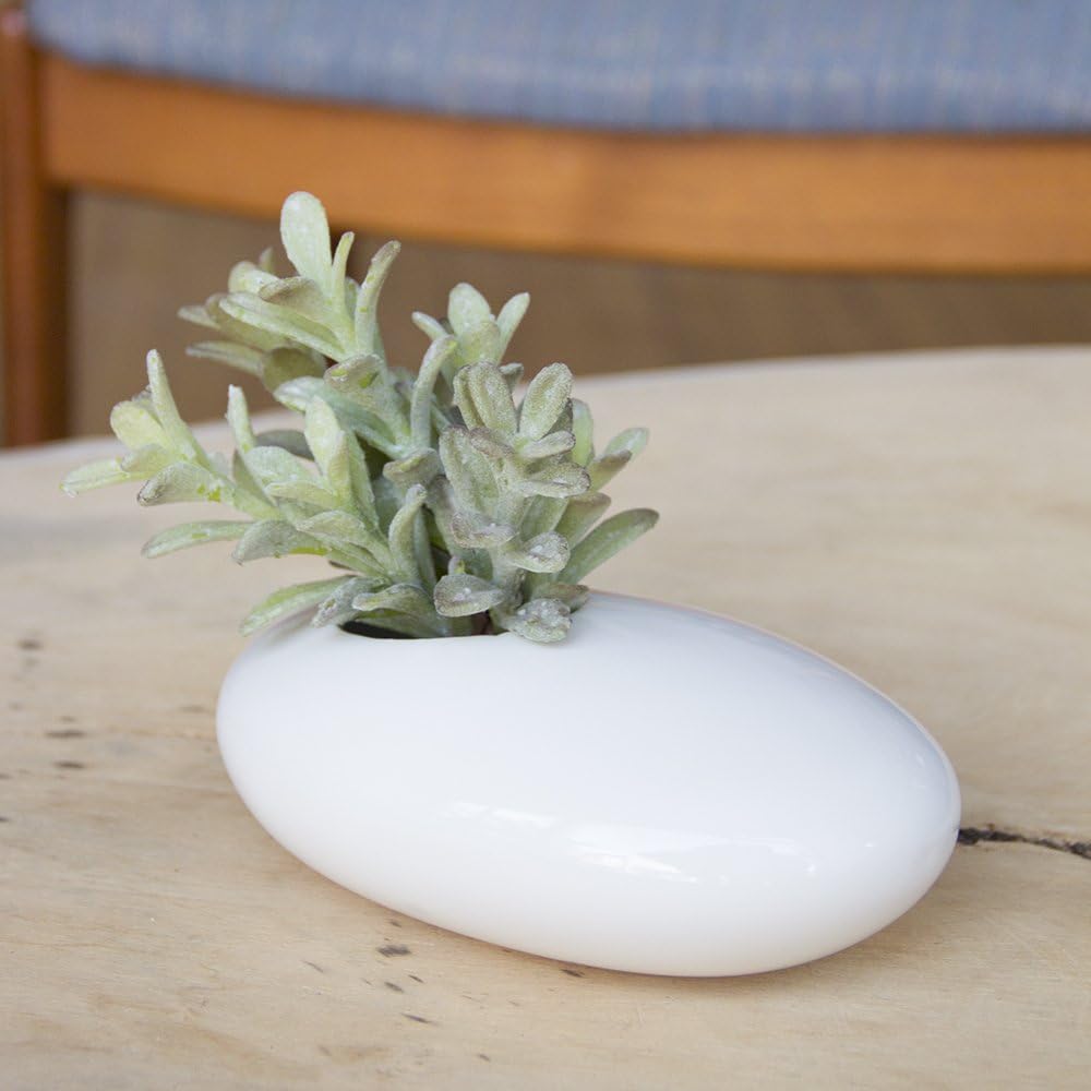 CHIVE – Pebble Ceramic, Multi Use Indoor Planter Pot, Ikebana Flower Vase and Air Plant Container Great for Flowers, Succulents, Cactus Gardens (White)