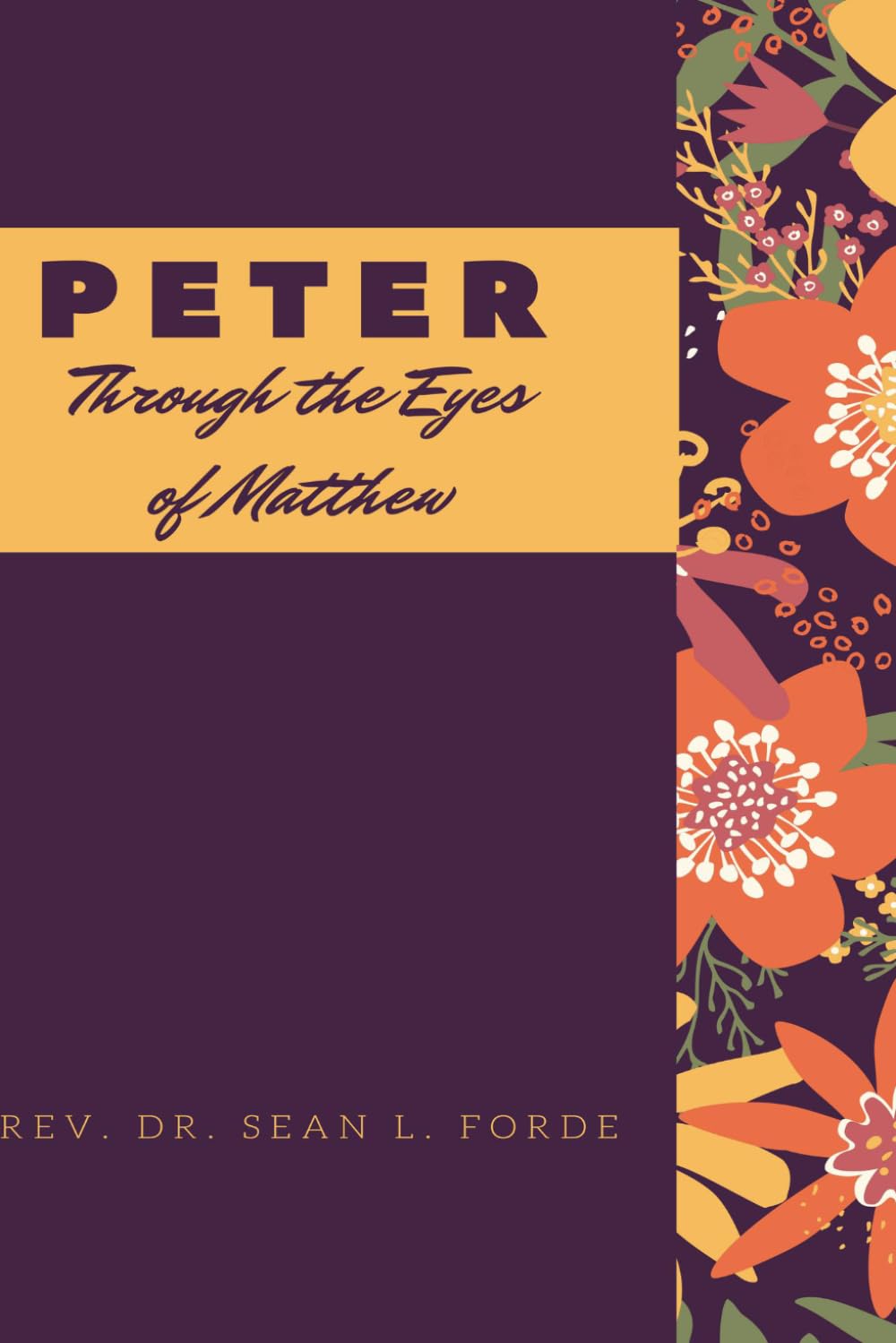 PETER: Through the Eyes of Matthew