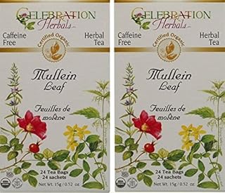 Celebration Herbals Organic Mullein Leaf Tea Caffeine Free - 2 Pack (48 Bags in Total)