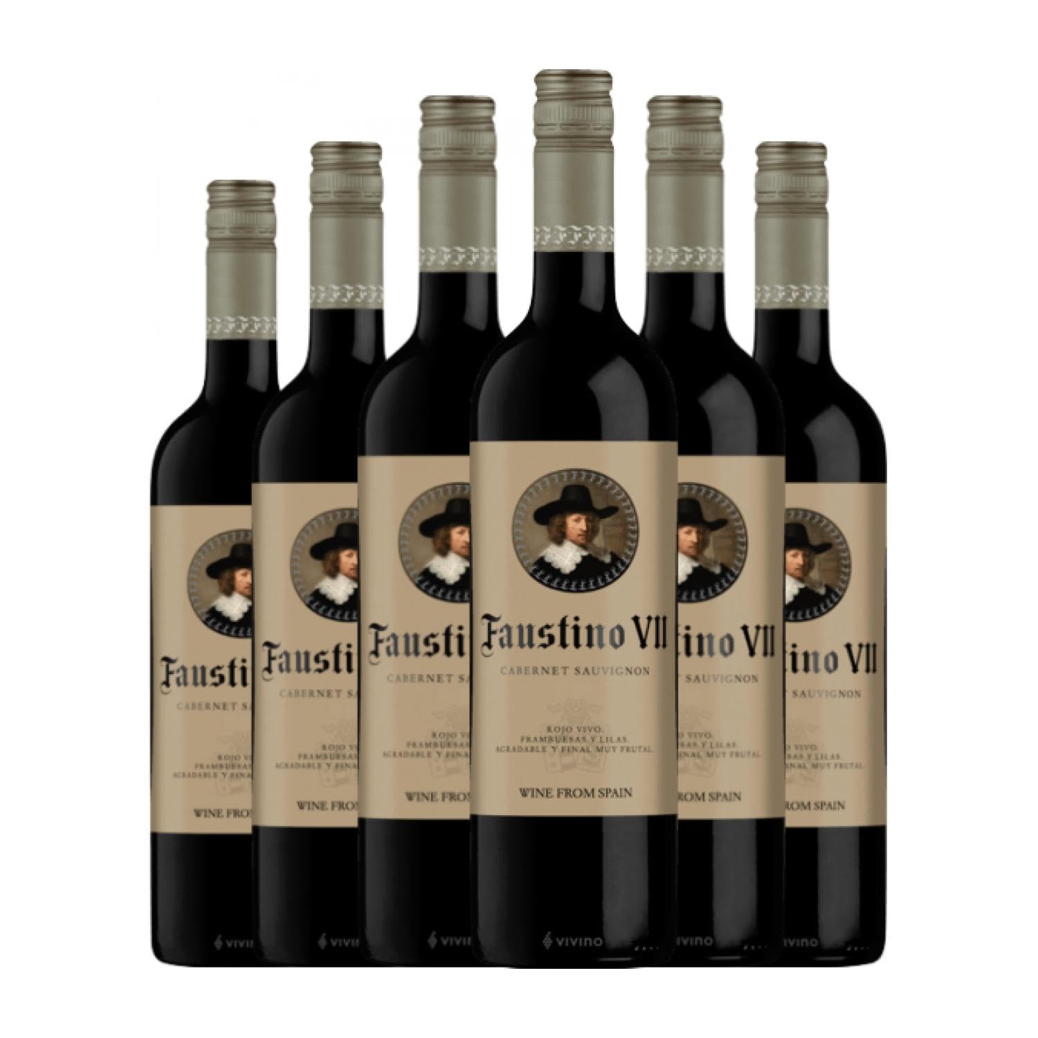 Faustino VII Cabernet Sauvignon Rioja Joven 75 cl Vino tinto (Caja de 6 Botellas de 75 cl)