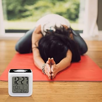 Amazon.co.jp: シマエナガ 鳥柄 時計 目覚まし時計 置き時計