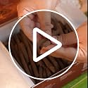 Image of Ritualistic Shuddhi Hawan Samidha Sticks - Ritual Pack (101 Units) | Gaushala Sourced with Panchgavya, Chandan, Peepal & Aam Ki Lakdi | Pure Natural Havan Samidha for Daily Puja, Yagya & Agnihotra