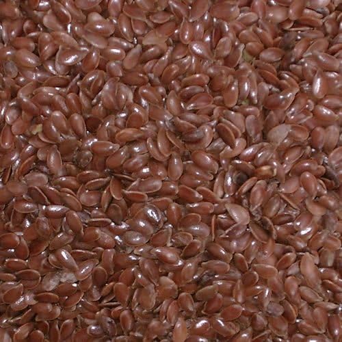 Alsi Seed / Linseed / Flaxseed - 14oz by IndianBlend