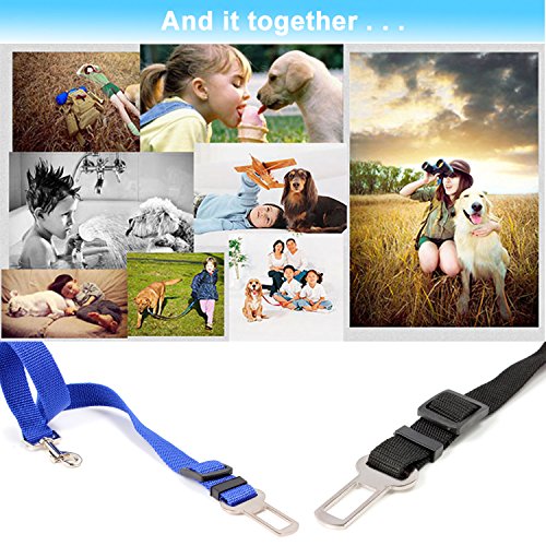 Neuftech einstellbare Auto Sicherheitsgurt Hundegurt Anschnallgurt für Hunde - Schwarz