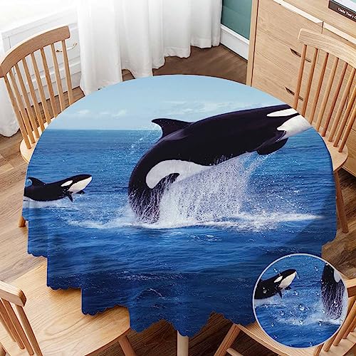 Yibeas Killer Whale Leaping Table Cloth - 60 inch Aquatic Animal Orcinus Orca Jumping Ocean Tablecloth for Round Tables