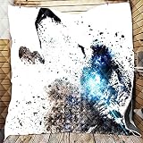 Enhome Tagesdecken Bettüberwurf Steppdecke, 3D Mikrofaser Gesteppter Quilt Decke Doppelbett Einselbetten Wohndecke Stepp Bettwäsche Sofaüberwurf (Weiß,200x230cm)
