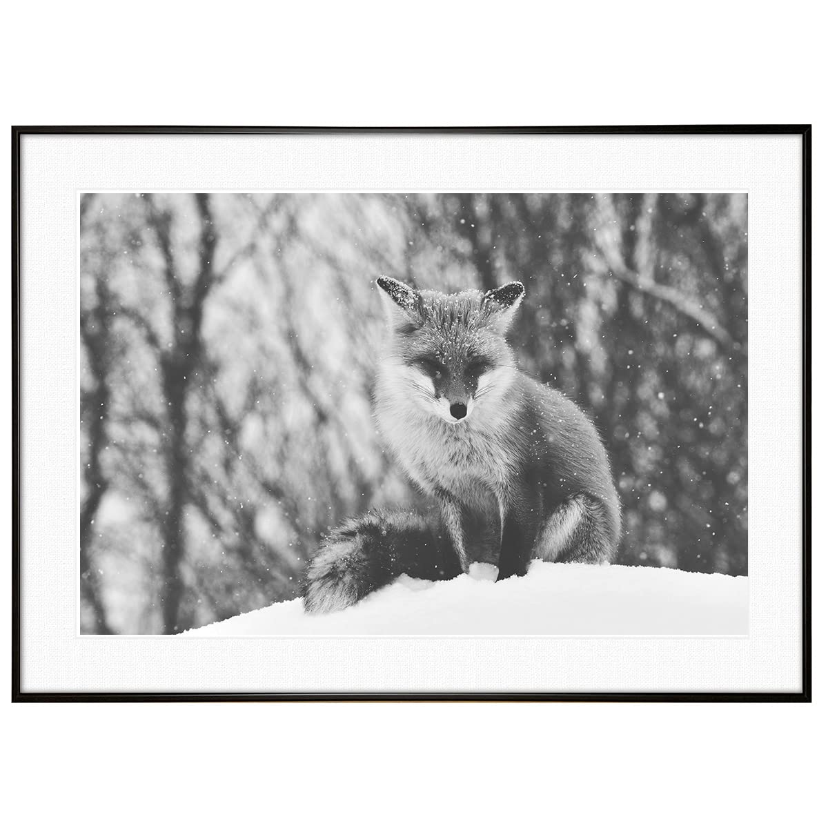 Amazon.co.jp: インテリアアート ポスター 動物写真 キツネ モノクロ