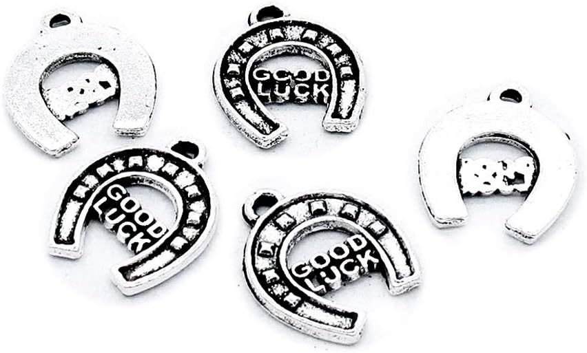 340 PCS Antique Silver Plated Jewelry Making Charms Supplies Crafting W1KJ9F Horseshoe Horse Hoof