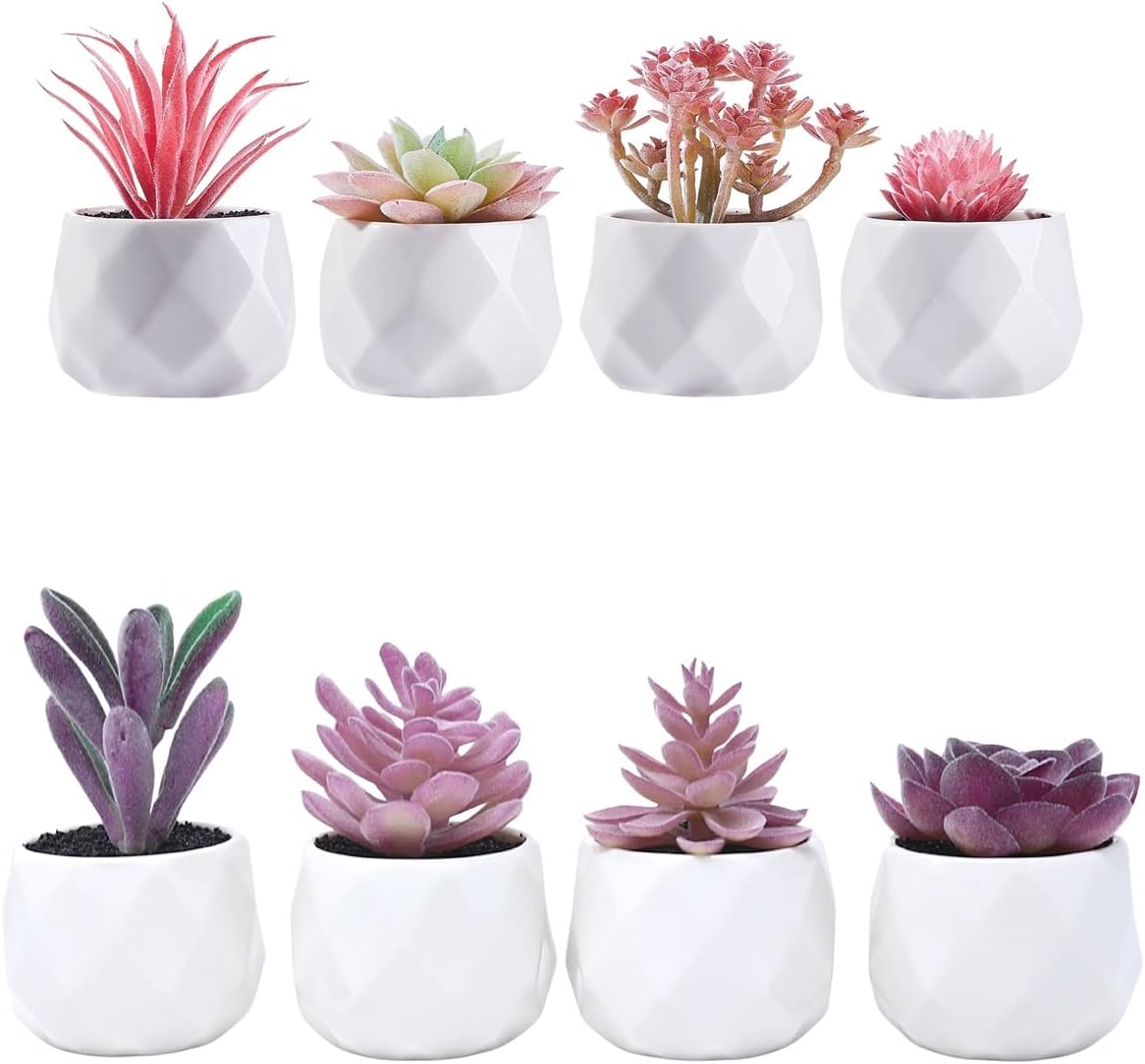 CADNLY Small Fake Desk Plant Artificial Succulents for