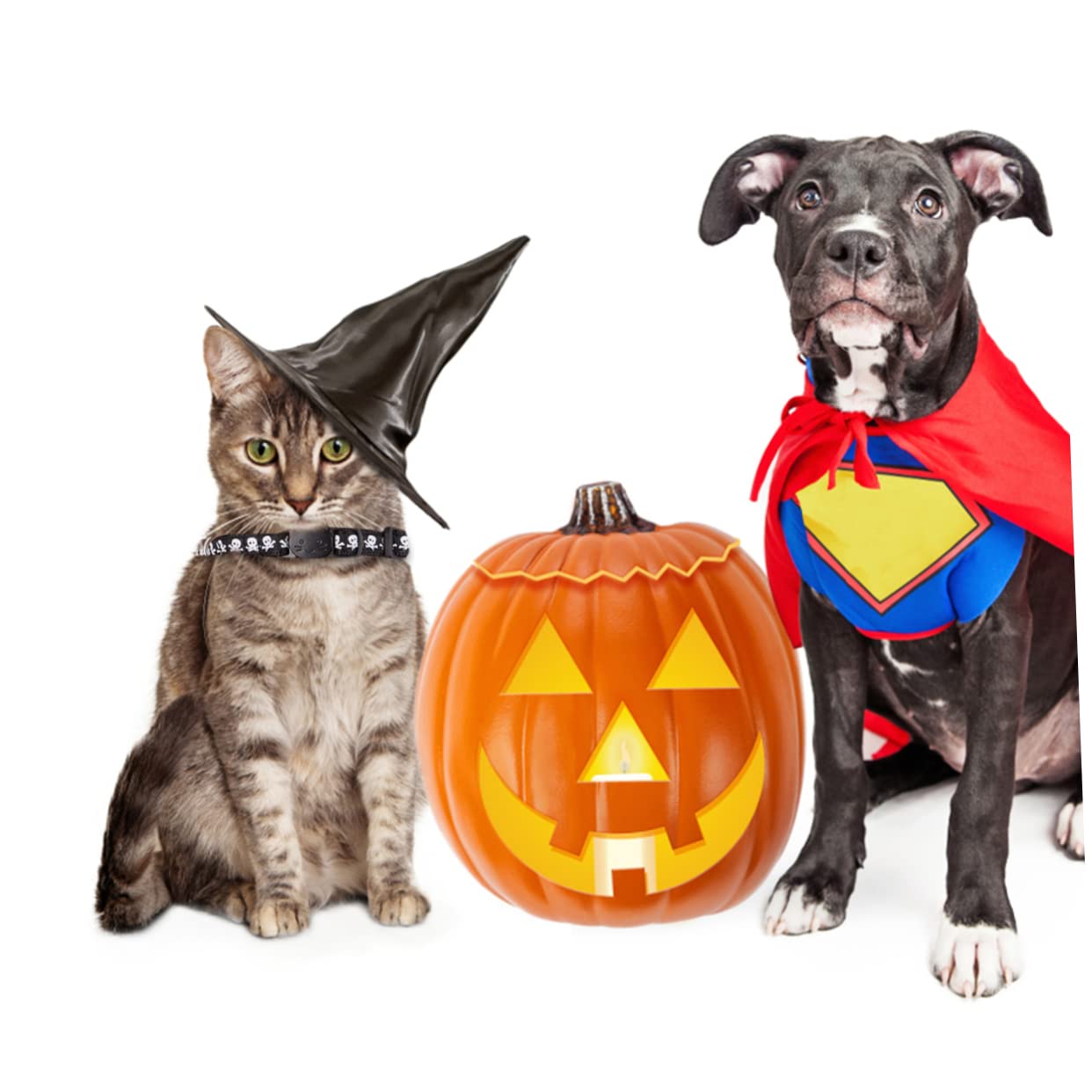 SUPVOX 9pezzi Collari Per Gatti Con Campanellino Regolabile Per Halloween Zucca Teschio Ragnatela Collare Alla Moda Per Festività e Feste Di Animali Domestici