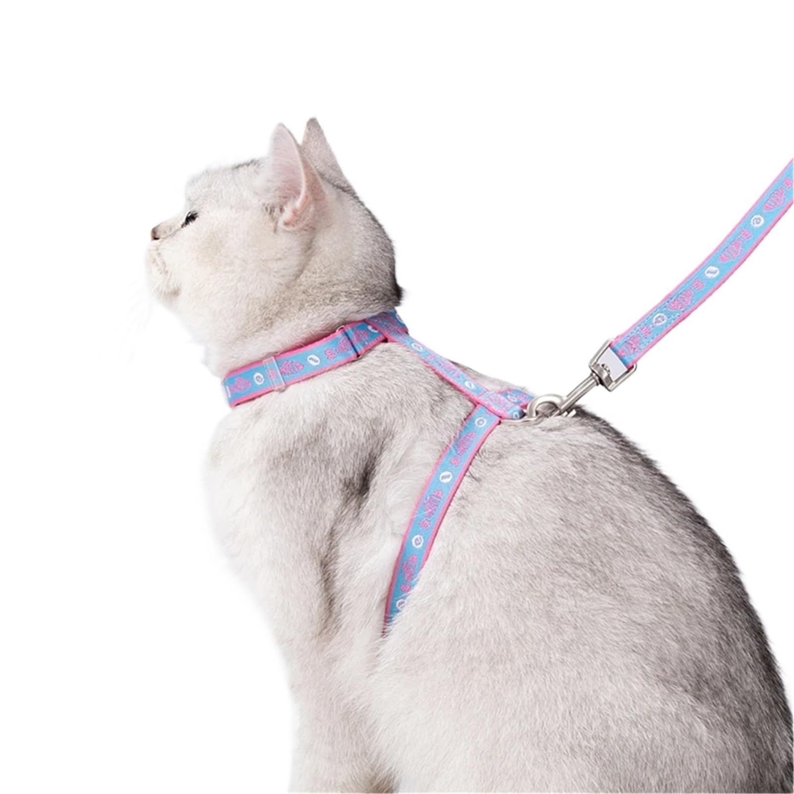Truelove Pet TLH3912 Ensemble harnais et laisse en forme de H – Style gilet anti-évasion pour chats chiots maison et extérieur (bleu)