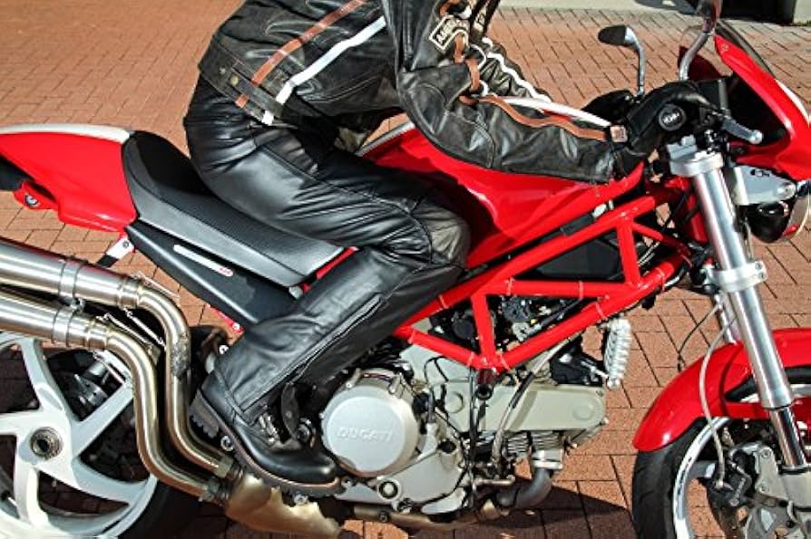 Amazon | DEGNER(デグナー) レザーライディングパンツ COW:牛革