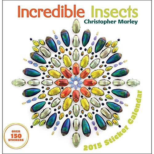 Incredible Insects 2015 Calendar
