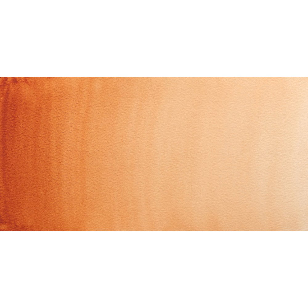 Professional Water Colour - Burnt Sienna - 5ml