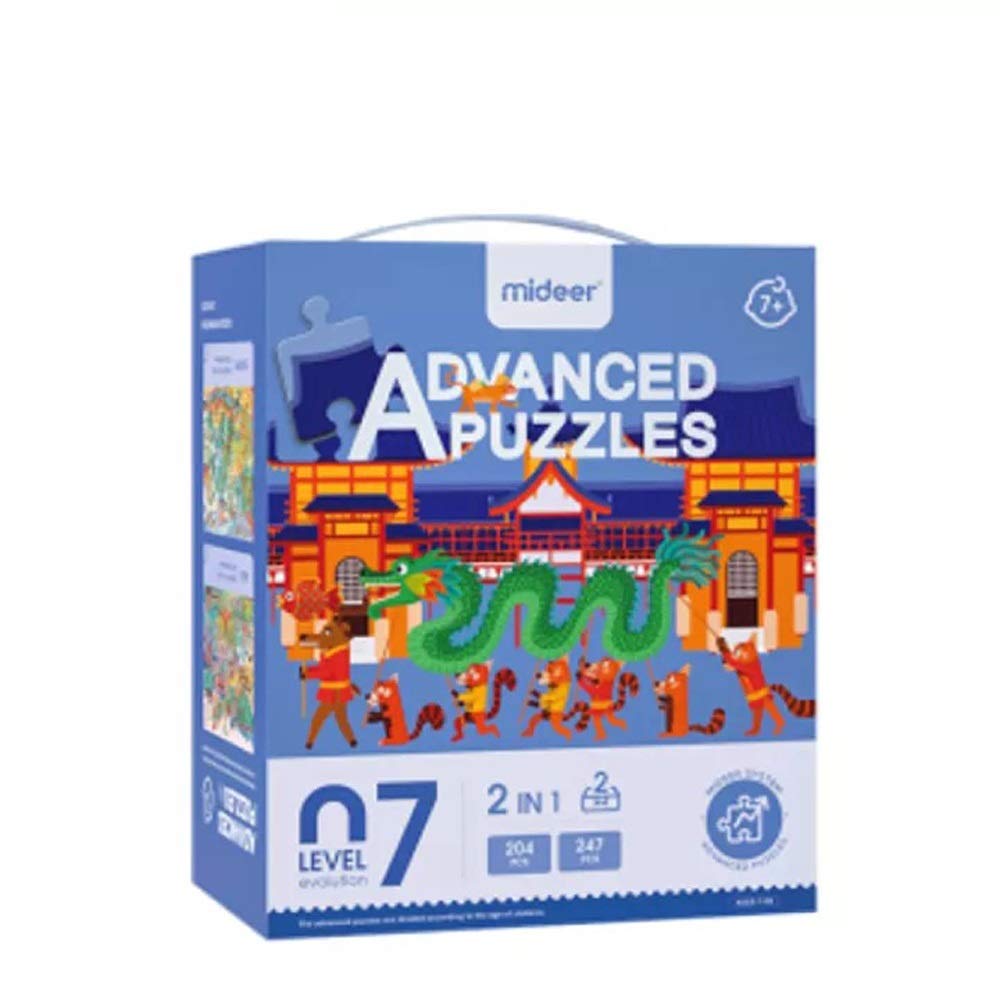 Mideer Advanced Puzzles (Geography)